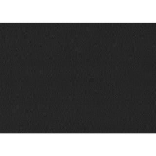 Rhea Queen Platform Bed Black