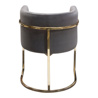 Velvet Pandora Dining Chair with Polished Gold Frame, Grey
