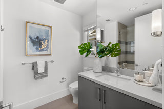 Contemporary  bathroom with white fixtures, a sink, mirror, and decorative elements.