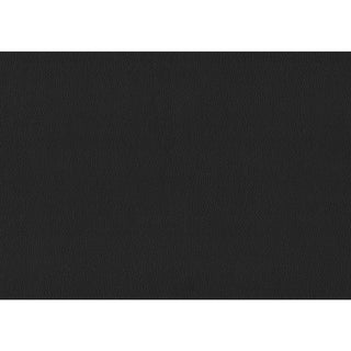 Rhea Queen Platform Bed Black